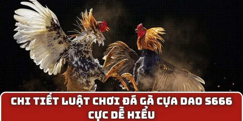 Chi tiết luật chơi đá gà cựa dao S666 cực dễ hiểu