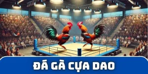 Ảnh đại diện đá gà cựa giao