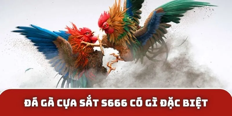 Đá gà cựa sắt S666 có gì đặc biệt