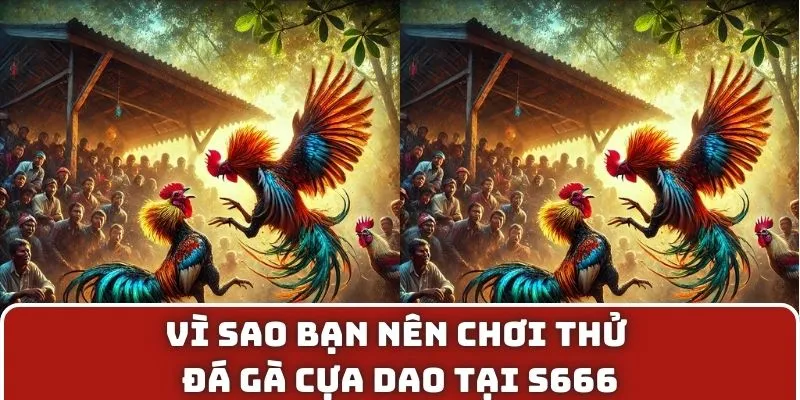 Vì sao bạn nên chơi thử đá gà cựa dao tại S666